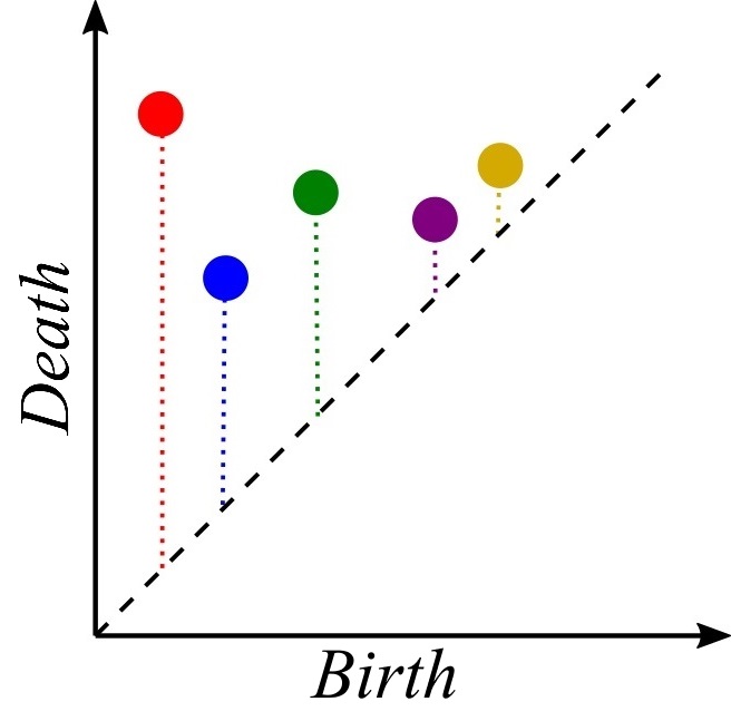 :img 33%, 55%, 27.5%